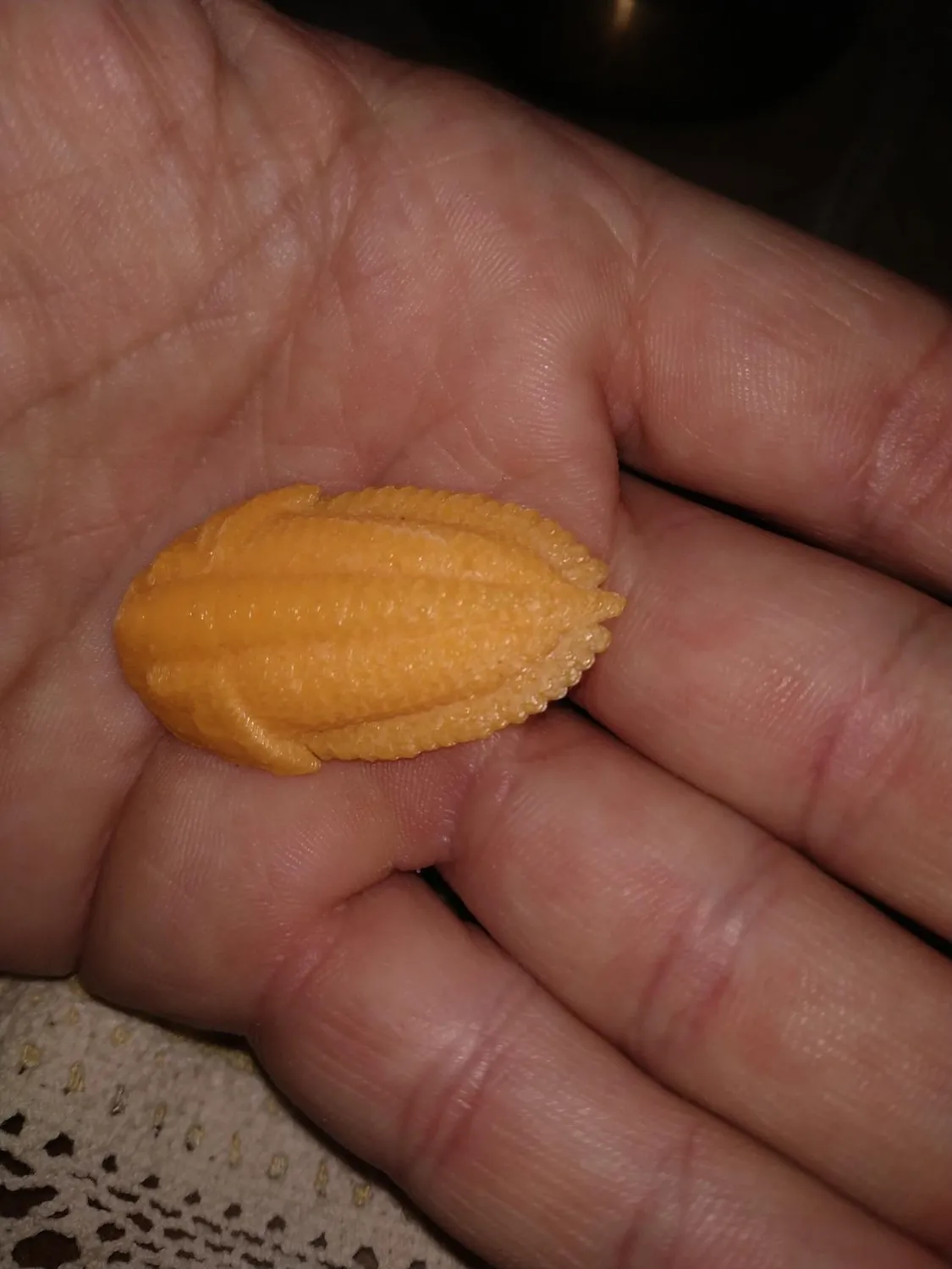 TIANSE PLA Filamento 1,75 mm Arancione 1 kg per Stampanti 3D