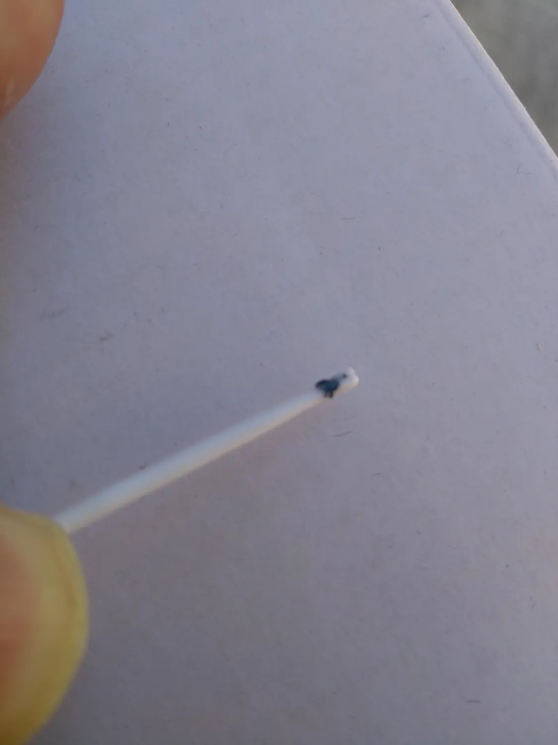 TIANSE Filamento PLA 1,75 mm bianco 5 kg alta precisione